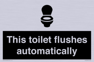 This toilet flushes automatically